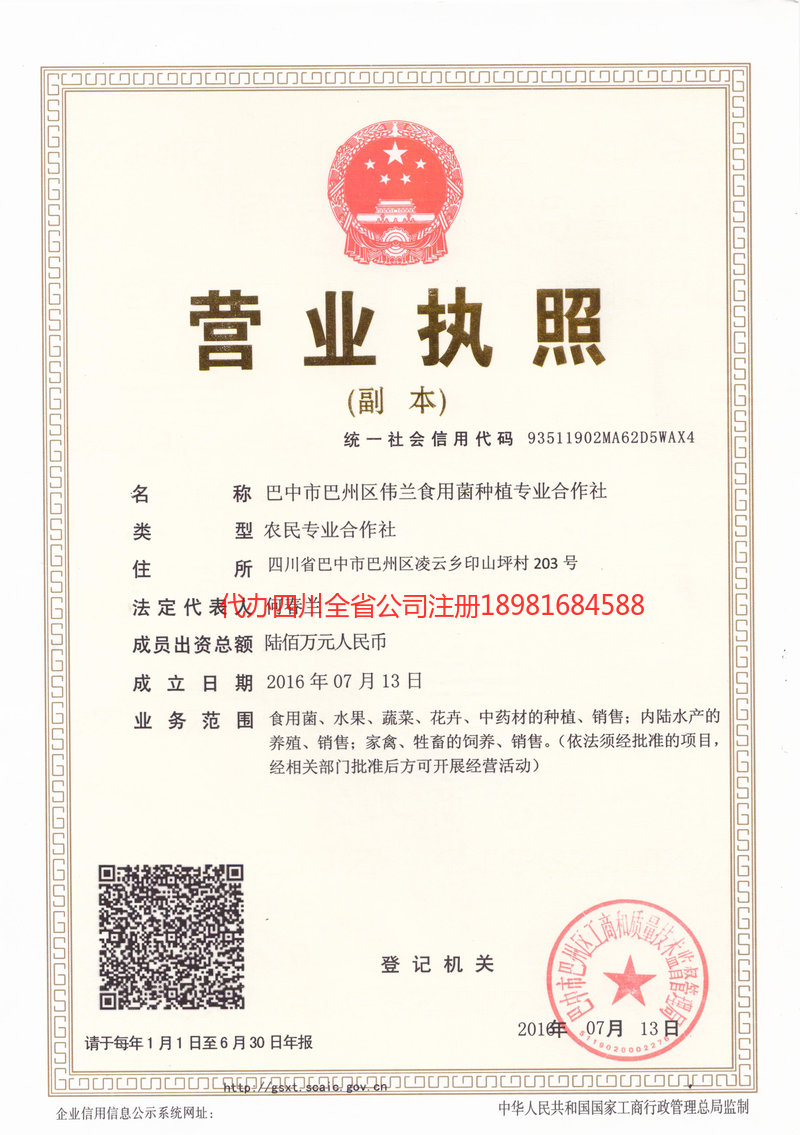 龙岩龙岩伟兰食用菌种植专业合作社